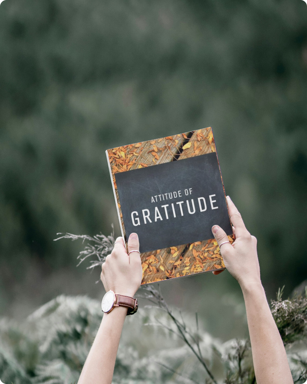 Gratitude Journal